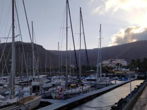 Un montón de barcos atracados en un puerto en apartamentos la villa en San Sebastián de la Gomera