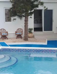 a swimming pool with two chairs and a palm tree at Ocean Front Property - Villa 4 Aruba w pool view in Savaneta