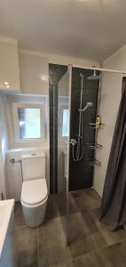 een badkamer met een toilet en een glazen douche bij Heritage Apartments Trumbić in Split