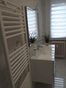 a bathroom with a sink and a mirror at Sesto Calende Centro in Sesto Calende +20 photos