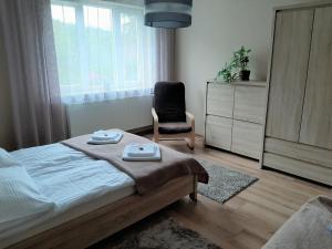 Apartamenty ,,Trzy Sosny'' Rymanów-Zdrój في ريمانوف-زدروي: غرفة نوم بسرير وكرسي ونافذة