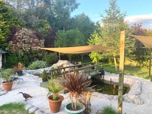 un giardino con laghetto e baldacchino giallo di Woodpaddock Bed & Breakfast a April