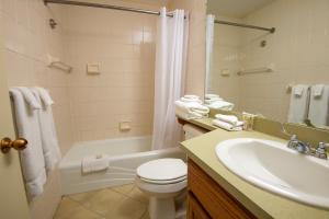 a bathroom with a sink and a toilet and a tub at Kenlake State Resort Park in Aurora