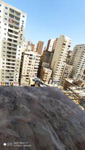 A general view of Alexandria or a view of the city taken from Az apartmant
