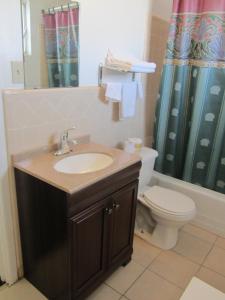 a bathroom with a sink and a toilet and a shower at Budget Inn Odessa in Odessa