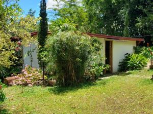 una pequeña casa en un jardín con un árbol en Cabaña Manalí en Guatapé