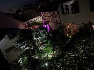 Zahrada ubytování Geibelhof - Apartments in mediterraner Hofreite nahe Frankfurt am Main