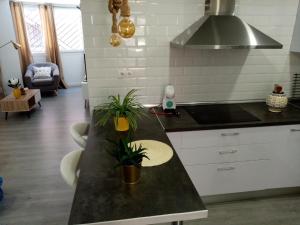 Kuchyň nebo kuchyňský kout v ubytování Apartamento céntrico recién reformado