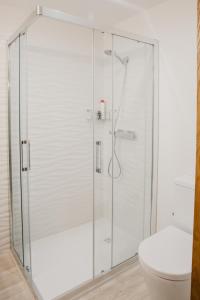 a glass shower stall in a bathroom with a toilet at Apartaments Rurals Cala Palmira in Alpens