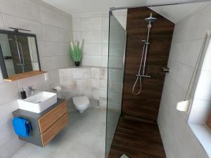 a bathroom with a shower and a sink and a toilet at Die Göttinger Ferienwohnung, alt trifft modern! in Göttingen +6 photos