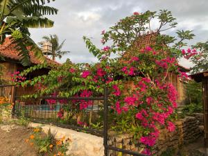 Villa Nextdoor Nature Yogyakarta外面的花园