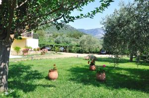 Um jardim em Pension Sotiria