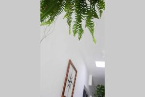 Fotografie z fotogalerie ubytování Casa Universo Holbox v destinaci Ostrov Holbox