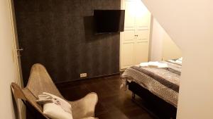 TV a/nebo společenská místnost v ubytování Les étangs du Thioux GUEST HOUSE + 21 fotografií