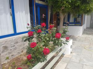 ISALOS ROOMS ON THE BEACH في سيريفوس شورا: مقعد فيه ورد احمر امام مبنى