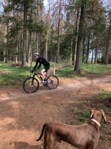 Cycling sa o sa paligid ng Stijlvolle bungalow nabij prachtige zwempoel