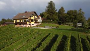 a house on a hill next to a field of vines at Wein- und Weitblick in Gleinstätten