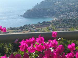 a bunch of pink flowers on top of a mountain at Villa Rosi&Maria in Coccorino