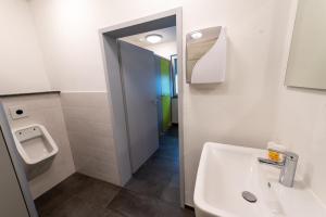 bagno con lavandino, orinatoio e specchio di Stadthaus Seeblick G5 - Hostel a Friedrichshafen Altre 15 foto