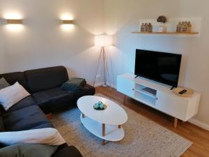TV i/ili multimedijalni sistem u objektu Strohböhn