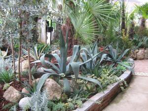 Zahrada ubytování B&B Le Palme d'Oro