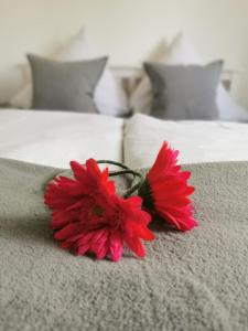 a red flower sitting on a bed at Hotel Schenk in Pirmasens