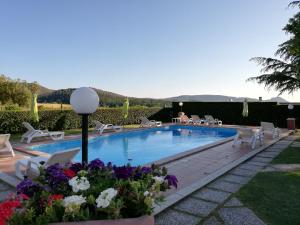 a swimming pool with chairs and flowers in a yard at Agriturismo Galeazzi in Marsiliana