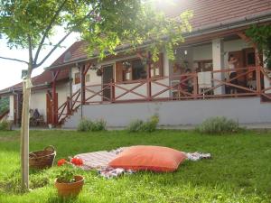 a blanket on the grass in front of a house at Nora Porta in Palkonya