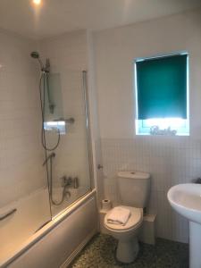 a bathroom with a shower and a toilet and a sink at Swallows Sea Cottage in Camber
