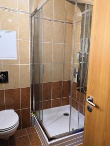 een douchecabine in een badkamer met een toilet bij Sunny Loft Kecskemét in Kecskemét