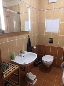 een badkamer met een wastafel en een toilet bij Sunny Loft Kecskemét in Kecskemét