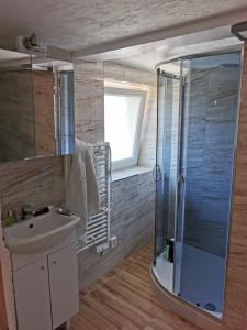 ein Bad mit einem Waschbecken und einer Glasdusche in der Unterkunft Zimmervervietung Bei Lachajczyk in Bad Salzdetfurth