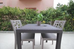 stół i krzesła z doniczką w obiekcie Puglia casa vacanza w mieście Ginosa Marina