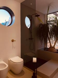 Container Suite