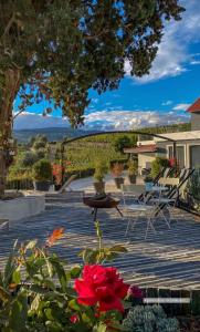 uma vista de um pátio com flores e uma árvore em Quinta da Salada - Turismo Rural em Lamego
