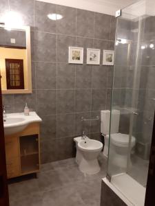 un bagno con wc, lavandino e doccia di Casa O'lado a Golegã Altre 18 foto