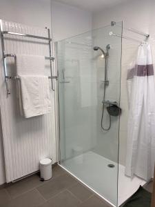 ein Bad mit einer Dusche und einer Glastür in der Unterkunft Au P’Tit Cosy in Bazincourt-sur-Saulx