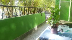 un balcón verde con una maceta sobre una mesa en Central Apartment, en Silistra
