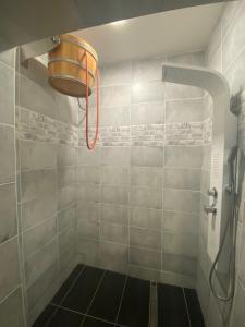 a shower with a shower head in a bathroom at WELLNESS APARTMÁN KAROLÍNA in Milovice