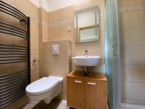a bathroom with a toilet and a sink at Ferienwohnungen Zur alten Schule in Altenkirchen +44 photos
