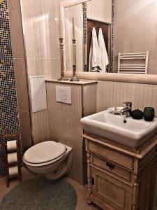 a bathroom with a sink and a toilet and a mirror at Vintage touch apartment in Cluj-Napoca