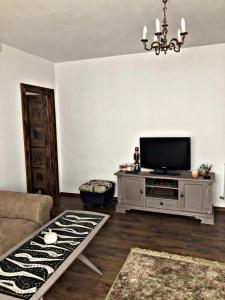 a living room with a tv and a couch at Vintage touch apartment in Cluj-Napoca