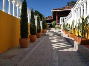 Foto sihtkohas Calima asuva majutusasutuse Finca Sanfelipe galeriist