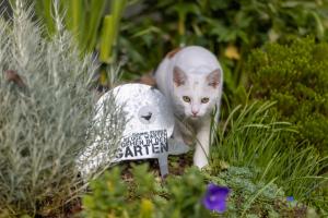 um gato está ao lado de uma estátua de jardim em Hochfeldhof em Zell am Ziller