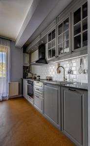 una cocina con armarios de acero inoxidable y fregadero en The Golfer Apartment with Jacuzzi en Cluj-Napoca