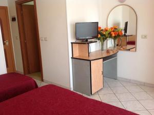 a room with a television and a vase of flowers at Hotel Casali in Cervia