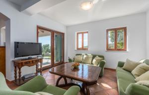 een woonkamer met groene stoelen en een televisie bij Villa Albina Skitaca in Koromačno