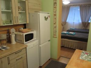 a kitchen with a white refrigerator and a microwave at Tanuma Apartment in Tallinn