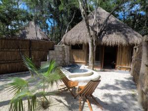 Басейн в или близо до Tulum Nueve