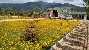 a large field of yellow flowers in front of a house at Casa Pre-Cordillera Sexta Region in Rengo